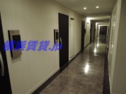 【仲介手数料0円+アルファ】ディアレンス横濱沢渡 共用廊下