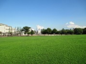 トミンハイム玉川田園調布11 建物前は緑溢れるぽかぽか広場