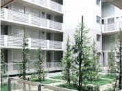 学芸大学 ヒモンヤメゾネット 緑を生かした空間。