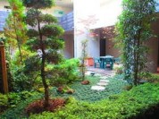 新高円寺 安らぎの緑溢れるデザイナーズ 中庭もあります！