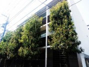 高円寺 オーキッドコート 植栽豊かなデザイナーズマンション。