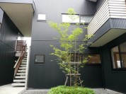 駒沢 STUDIO T KOMAZAWA 黒の外壁に緑がマッチ！