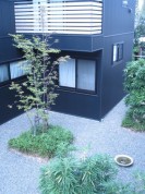 駒沢 STUDIO T KOMAZAWA 緑豊かな空間。