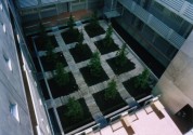 学芸大学 WELL SQUARE 碑文谷【ウェルスクエア碑文谷】 緑も植えられてます。