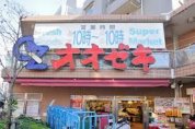 フラッツ飯田 スーパー オオゼキ雪が谷店 227m