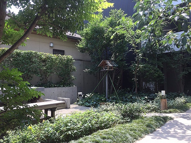 東長崎 緑溢れる中庭に無垢フローリング