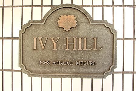 IVY HILL(アイヴィーヒル)